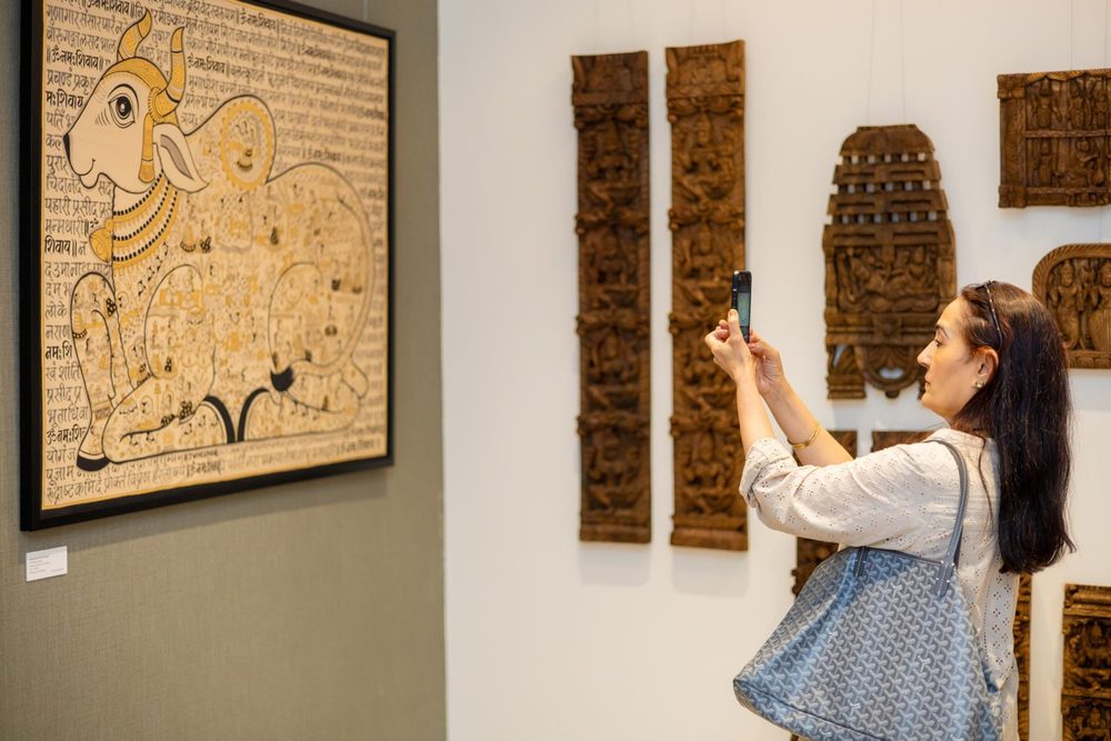 Indigofera exhibition moment